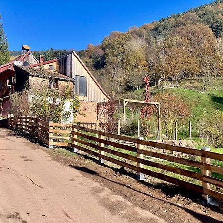 Gite De La Grande Verrerie 6 Personnes Ribeauville Exterior foto