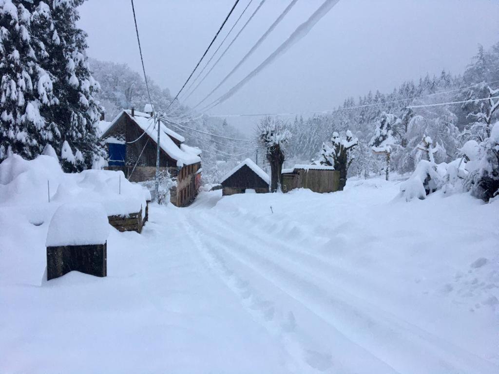 Gite De La Grande Verrerie 6 Personnes Ribeauville Exterior foto