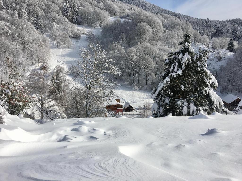 Gite De La Grande Verrerie 6 Personnes Ribeauville Exterior foto